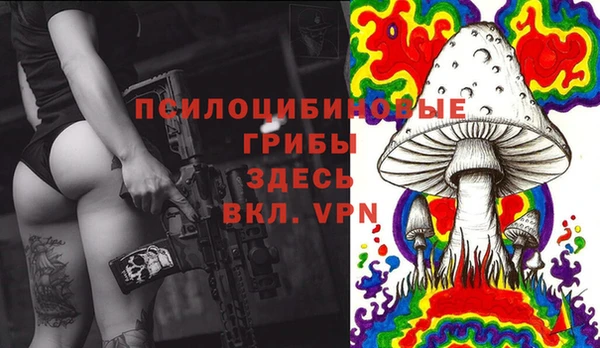 MESCALINE Покачи
