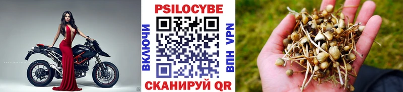 Псилоцибиновые грибы MAGIC MUSHROOMS Купить где Новое Девяткино